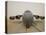 A C-17 Globemaster Iii Sits on the Runway at Cob Speicher, Iraq-null-Stretched Canvas