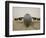 A C-17 Globemaster Iii Sits on the Runway at Cob Speicher, Iraq-null-Framed Photographic Print