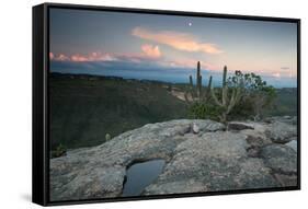 A Cactus at Sunset on Pai Inacio Mountain in Chapada Diamantina at Sunset-Alex Saberi-Framed Stretched Canvas