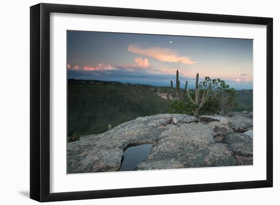A Cactus at Sunset on Pai Inacio Mountain in Chapada Diamantina at Sunset-Alex Saberi-Framed Photographic Print