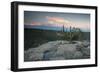 A Cactus at Sunset on Pai Inacio Mountain in Chapada Diamantina at Sunset-Alex Saberi-Framed Photographic Print