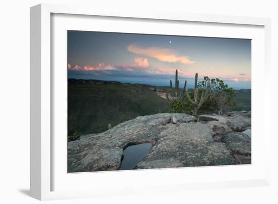 A Cactus at Sunset on Pai Inacio Mountain in Chapada Diamantina at Sunset-Alex Saberi-Framed Photographic Print