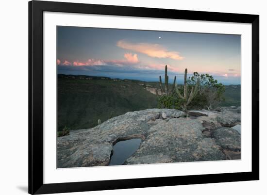 A Cactus at Sunset on Pai Inacio Mountain in Chapada Diamantina at Sunset-Alex Saberi-Framed Photographic Print