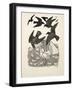A Calculating Crow, from A Hundred Anecdotes of Animals, Pub. 1924 (Engraving)-Percy James Billinghurst-Framed Giclee Print