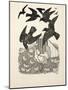 A Calculating Crow, from A Hundred Anecdotes of Animals, Pub. 1924 (Engraving)-Percy James Billinghurst-Mounted Giclee Print