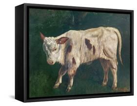 A Calf (Oil on Canvas)-Gustave Courbet-Framed Stretched Canvas