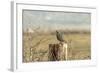 A California Quail on a Fence Post in the Carson Valley of Nevada-John Alves-Framed Photographic Print