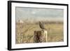 A California Quail on a Fence Post in the Carson Valley of Nevada-John Alves-Framed Photographic Print