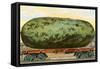A California Watermelon, on Flatbed Train Car-null-Framed Stretched Canvas