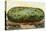 A California Watermelon, on Flatbed Train Car-null-Stretched Canvas