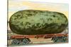 A California Watermelon, on Flatbed Train Car-null-Stretched Canvas