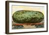 A California Watermelon, on Flatbed Train Car-null-Framed Art Print