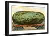 A California Watermelon, on Flatbed Train Car-null-Framed Art Print