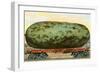 A California Watermelon, on Flatbed Train Car-null-Framed Art Print