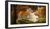 A Calm Morning-Sus Bogaerts-Framed Photographic Print