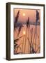 A Calm Winters Morning-Adrian Campfield-Framed Premium Giclee Print