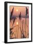 A Calm Winters Morning-Adrian Campfield-Framed Premium Giclee Print