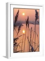 A Calm Winters Morning-Adrian Campfield-Framed Giclee Print