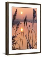 A Calm Winters Morning-Adrian Campfield-Framed Giclee Print