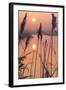 A Calm Winters Morning-Adrian Campfield-Framed Giclee Print