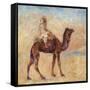 A Camel; a Dos De Chameau, 1881-Pierre-Auguste Renoir-Framed Stretched Canvas