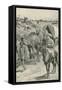 A Camel-Caravan, Western Australia-Walter Stanley Paget-Framed Stretched Canvas