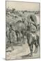 A Camel-Caravan, Western Australia-Walter Stanley Paget-Mounted Giclee Print