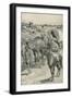 A Camel-Caravan, Western Australia-Walter Stanley Paget-Framed Giclee Print