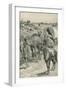 A Camel-Caravan, Western Australia-Walter Stanley Paget-Framed Giclee Print