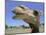 A Camel from Doug Baum's Herd is Shown in Valley Mills, Texas, Thursday, July 13, 2006-L.m. Otero-Mounted Photographic Print