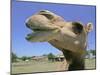 A Camel from Doug Baum's Herd is Shown in Valley Mills, Texas, Thursday, July 13, 2006-L.m. Otero-Mounted Photographic Print