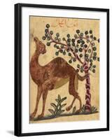 A Camel Passing a Tree-Aristotle ibn Bakhtishu-Framed Giclee Print