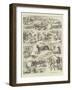 A Camel Tale, a Fact from the Frontier-William Ralston-Framed Giclee Print