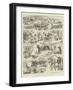 A Camel Tale, a Fact from the Frontier-William Ralston-Framed Giclee Print