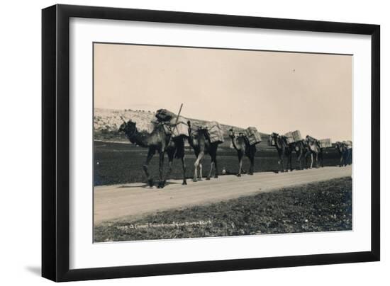Premium Photographic Print, , large