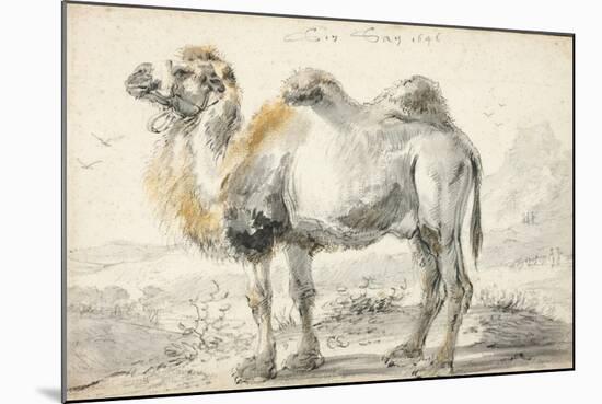 A Camel-Cornelis Saftleven-Mounted Giclee Print