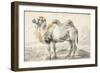 A Camel-Cornelis Saftleven-Framed Giclee Print