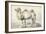 A Camel-Cornelis Saftleven-Framed Giclee Print