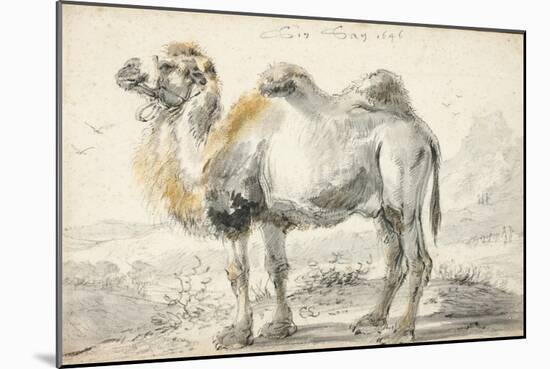 A Camel-Cornelis Saftleven-Mounted Giclee Print