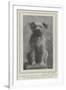 A Canine Veteran Dead, Drummer, the Dog of the Northumberland Fusiliers-null-Framed Giclee Print