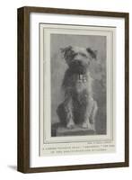 A Canine Veteran Dead, Drummer, the Dog of the Northumberland Fusiliers-null-Framed Giclee Print