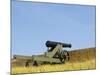 A Cannon at Fort Barrancas, NAS Pensacola Fl.-John Clark-Mounted Photographic Print