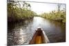 A Canoe in Mangroves, Everglades National Park, Florida-Ian Shive-Mounted Photographic Print