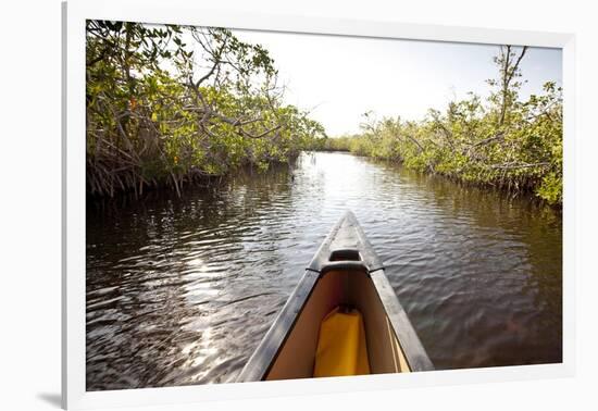 A Canoe in Mangroves, Everglades National Park, Florida-Ian Shive-Framed Photographic Print