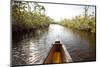 A Canoe in Mangroves, Everglades National Park, Florida-Ian Shive-Mounted Photographic Print