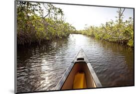 A Canoe in Mangroves, Everglades National Park, Florida-Ian Shive-Mounted Photographic Print