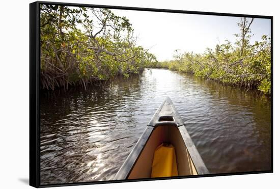 A Canoe in Mangroves, Everglades National Park, Florida-Ian Shive-Framed Stretched Canvas