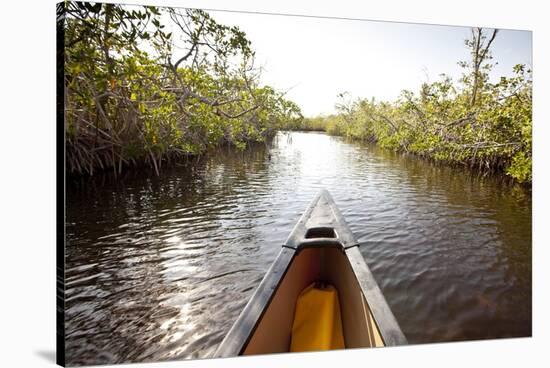 A Canoe in Mangroves, Everglades National Park, Florida-Ian Shive-Stretched Canvas