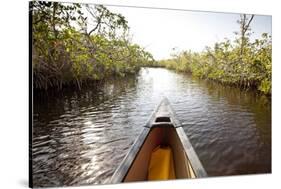 A Canoe in Mangroves, Everglades National Park, Florida-Ian Shive-Stretched Canvas