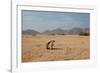 A Cape Ground Squirrel, Xerus Inures, on the Look Out in Solitaire, Namibia-Alex Saberi-Framed Photographic Print